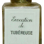 Evocation de Tubéreuse (Pierre Dune)