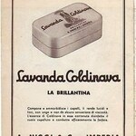 Lavanda Coldinava (A. Niggi & Co.)