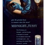 Midnight (Tussy)