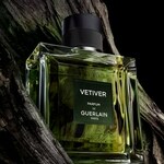 Vetiver Parfum (Guerlain)
