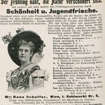 Lieblings-Veilchen / Lieblingsveilchen (Rosa Schaffer)