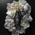 Acqua Colonia Collection Absolue - Orchid Vanilla (4711)